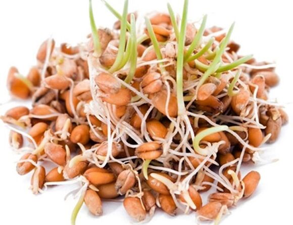 Clean Forte contiene granos germinados de trigo, avena y maíz. 